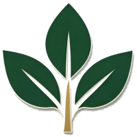 Циндао Chengyixin Electronic Technology Co., Ltd.